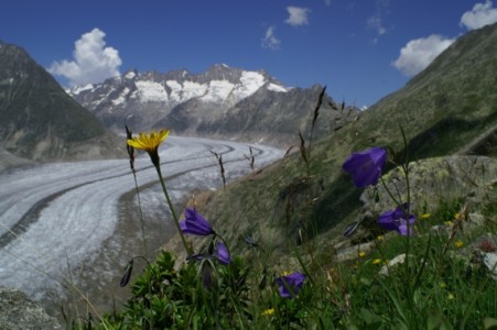 Aletschgletscher 2