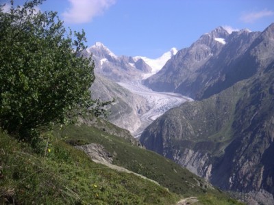 Fieschergletscher 1