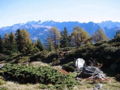 Zwischen Fiescher- und Bettmeralp